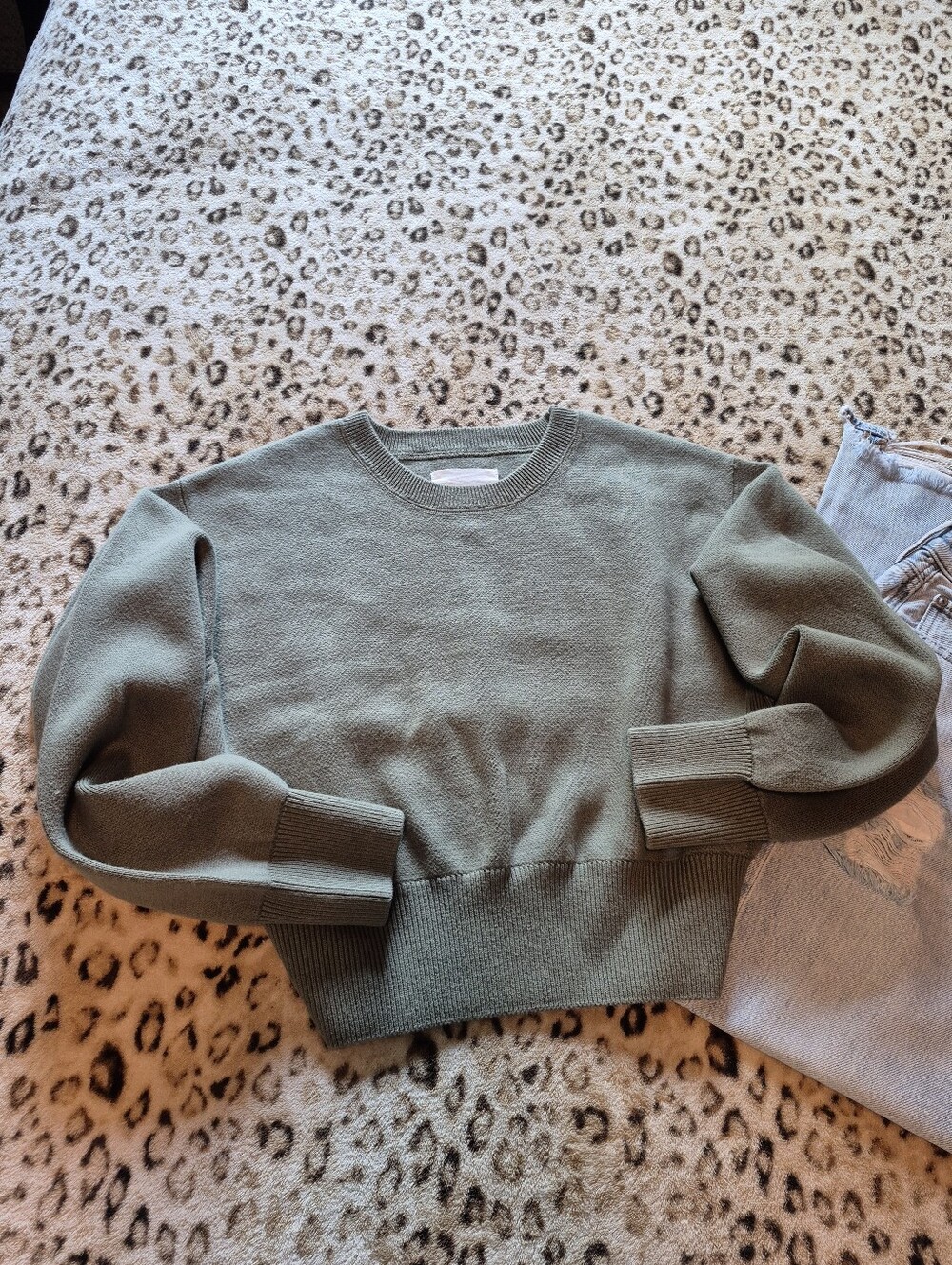 AERIE Olive Green Crop Sweater